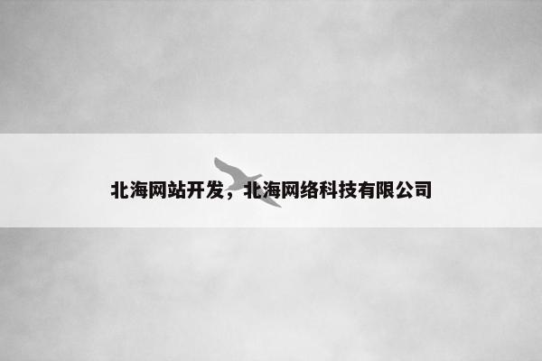 北海网站开发，北海网络科技有限公司