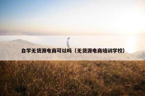 自学无货源电商可以吗（无货源电商培训学校）