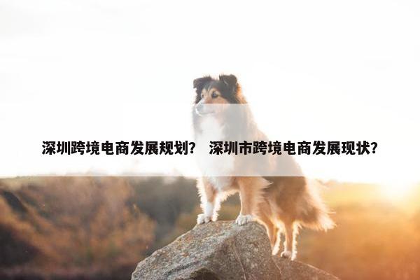 深圳跨境电商发展规划? 深圳市跨境电商发展现状? 深圳跨境电商发展规划? 深圳市跨境电商发展现状?
