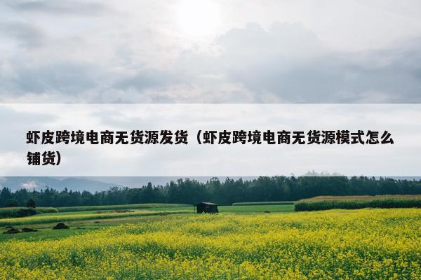 虾皮跨境电商无货源发货（虾皮跨境电商无货源模式怎么铺货）