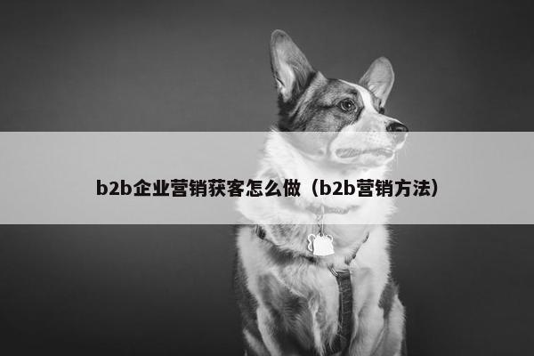 b2b企业营销获客怎么做（b2b营销方法）