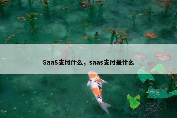 SaaS支付什么，saas支付是什么