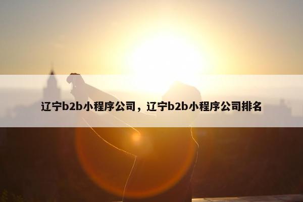 辽宁b2b小程序公司,辽宁b2b小程序公司排名 辽宁b2b小程序公司,辽宁b2b小程序公司排名