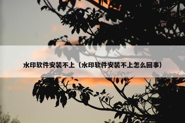 水印软件安装不上（水印软件安装不上怎么回事）