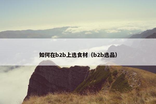 如何在b2b上选食材（b2b选品）