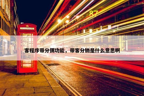 客程序带分佣功能，带客分销是什么意思啊