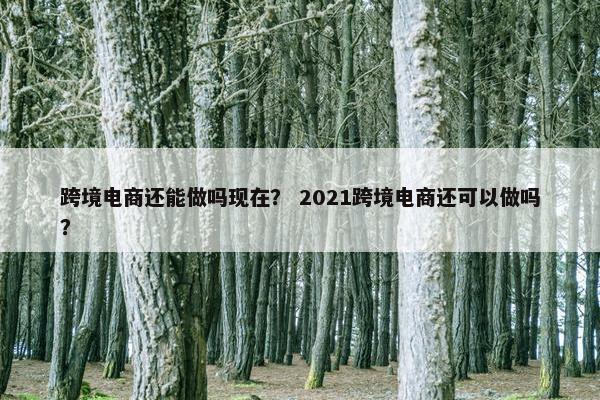 跨境电商还能做吗现在？ 2021跨境电商还可以做吗？