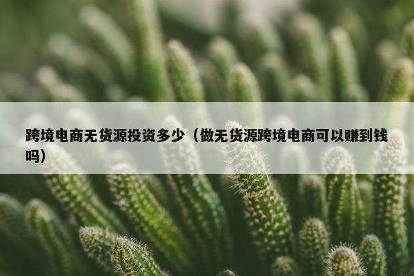 跨境电商无货源投资多少（做无货源跨境电商可以赚到钱吗）