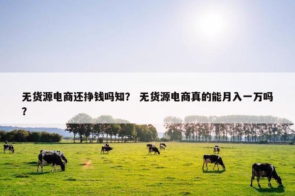 无货源电商还挣钱吗知？ 无货源电商真的能月入一万吗？