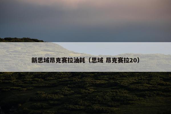 新思域昂克赛拉油耗(思域 昂克赛拉20)