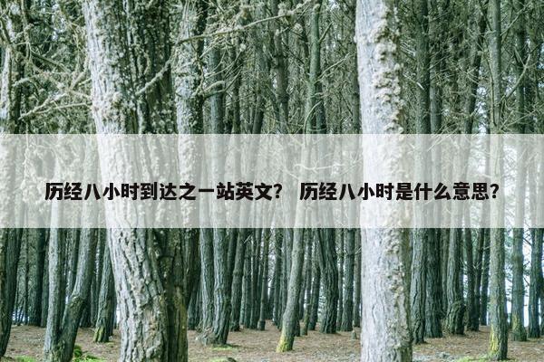 历经八小时到达之一站英文？ 历经八小时是什么意思？