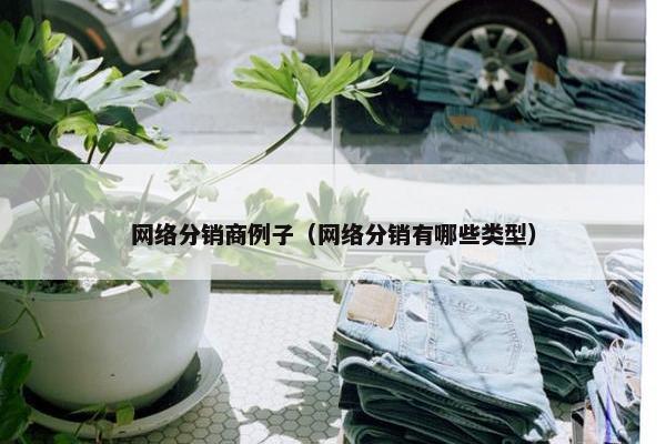 网络分销商例子（网络分销有哪些类型）