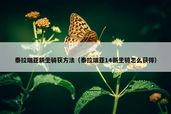 泰拉瑞亚新坐骑获方法(泰拉瑞亚14新坐骑怎么获得)