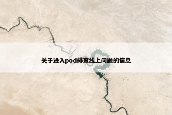 关于进入pod排查线上问题的信息