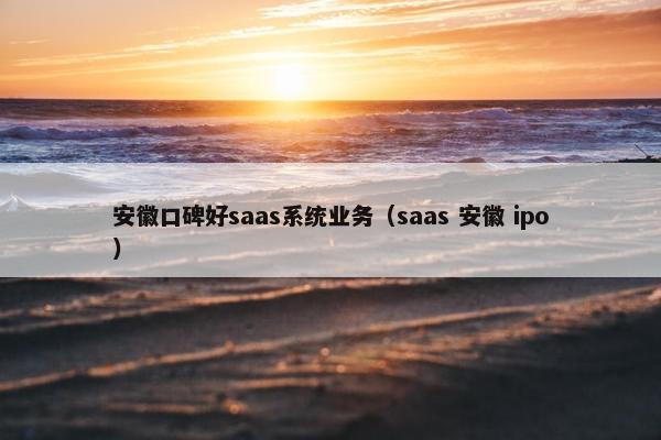 安徽口碑好saas系统业务（saas 安徽 ipo）