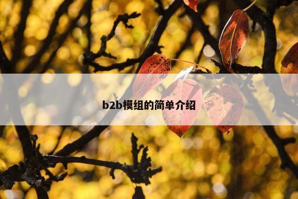 b2b模组的简单介绍