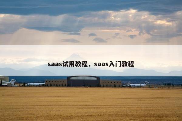 saas试用教程，saas入门教程