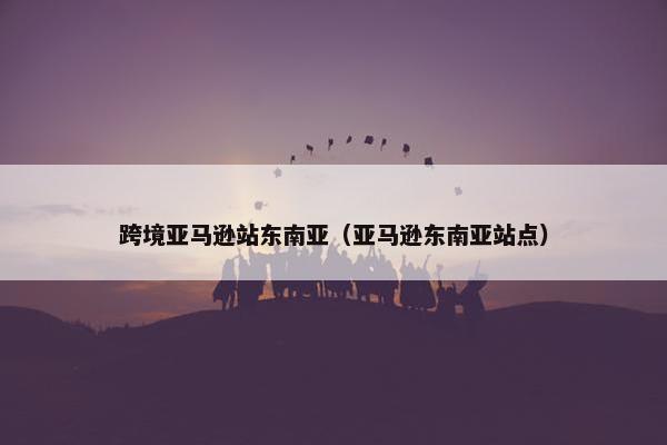 跨境亚马逊站东南亚（亚马逊东南亚站点）