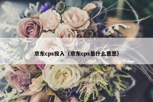 京东cps投入（京东cps是什么意思）