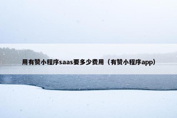 用有赞小程序saas要多少费用（有赞小程序app）
