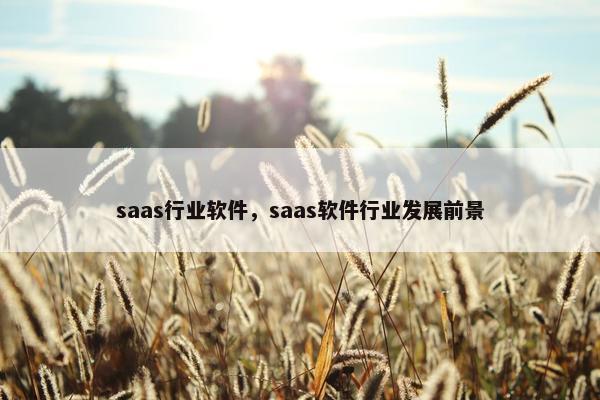 saas行业软件，saas软件行业发展前景