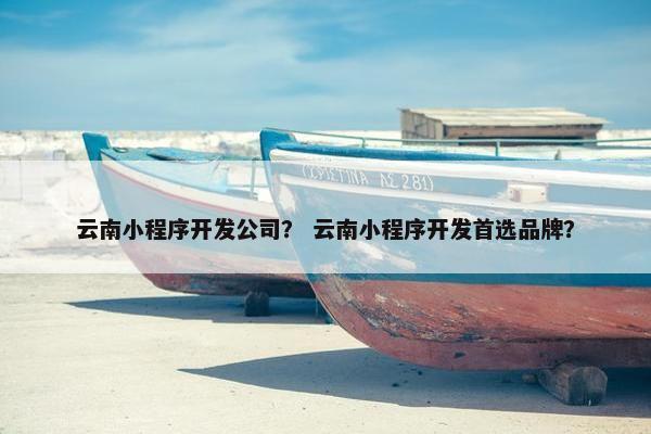 云南小程序开发公司？ 云南小程序开发首选品牌？