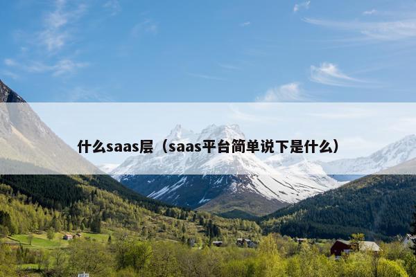 什么saas层（saas平台简单说下是什么）