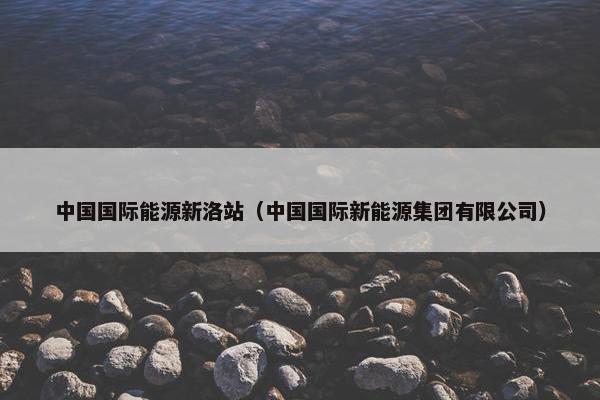 中国国际能源新洛站（中国国际新能源集团有限公司）