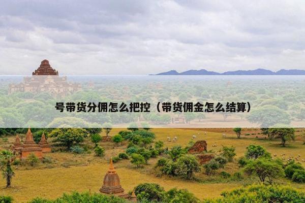 号带货分佣怎么把控（带货佣金怎么结算）