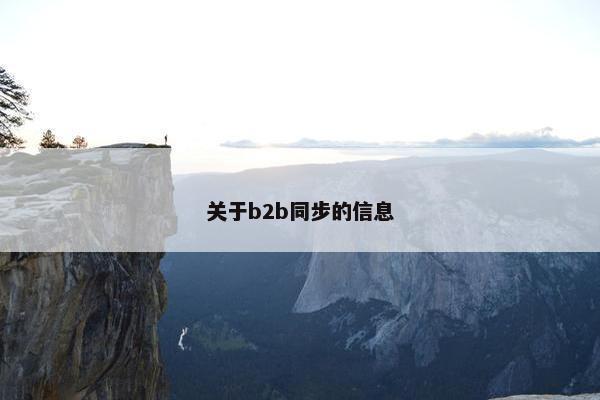 关于b2b同步的信息