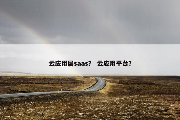 云应用层saas？ 云应用平台？