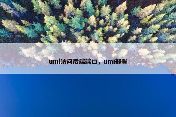 umi访问后端端口,umi部署