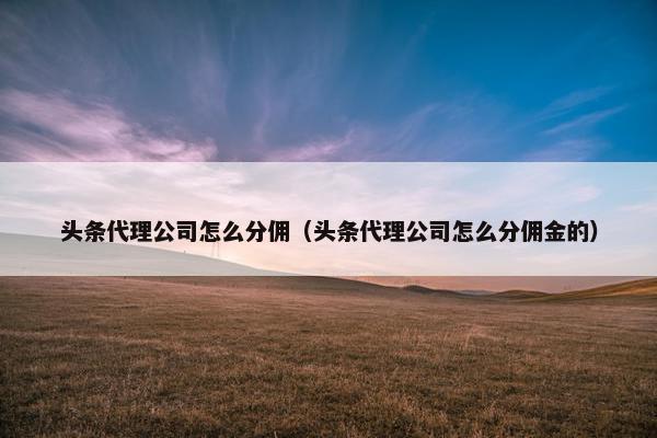 头条代理公司怎么分佣（头条代理公司怎么分佣金的）