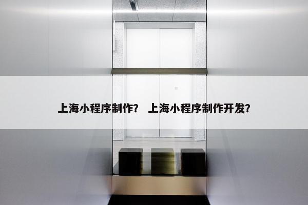上海小程序制作？ 上海小程序制作开发？