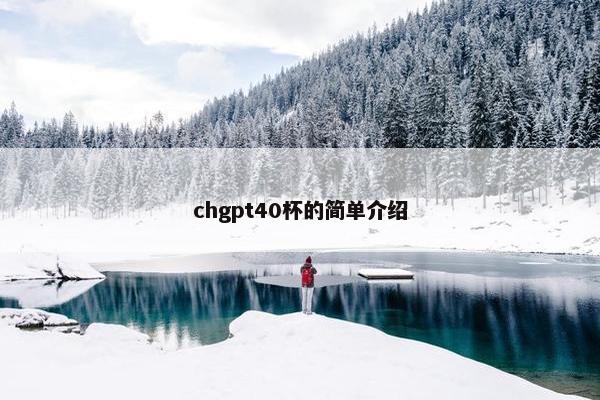 chgpt40杯的简单介绍