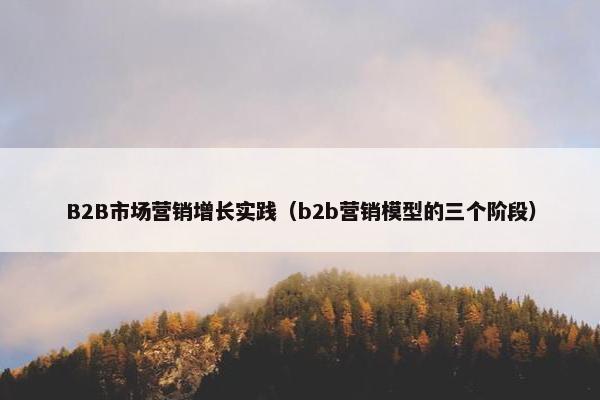 B2B市场营销增长实践（b2b营销模型的三个阶段）
