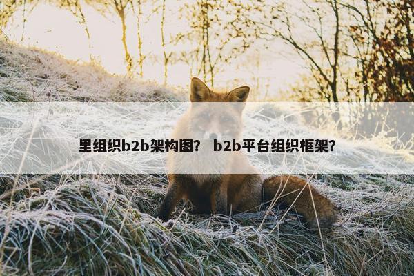 里组织b2b架构图? b2b平台组织框架?