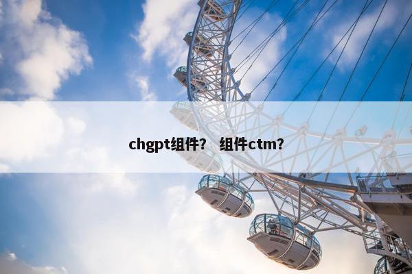 chgpt组件? 组件ctm?