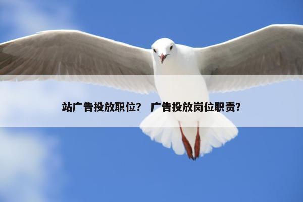 站广告投放职位？ 广告投放岗位职责？