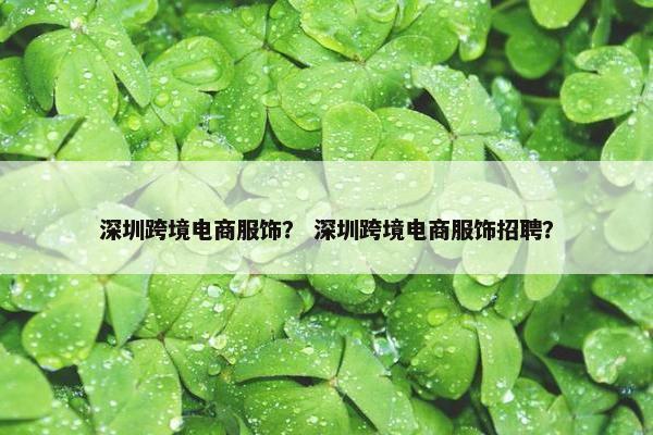 深圳跨境电商服饰？ 深圳跨境电商服饰招聘？