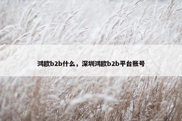 鸿欧b2b什么，深圳鸿欧b2b平台账号