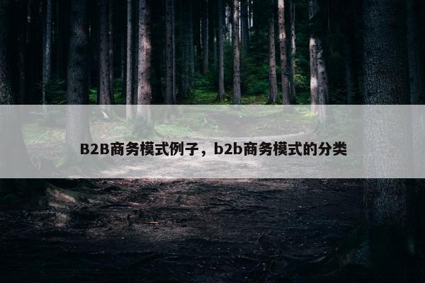 B2B商务模式例子，b2b商务模式的分类