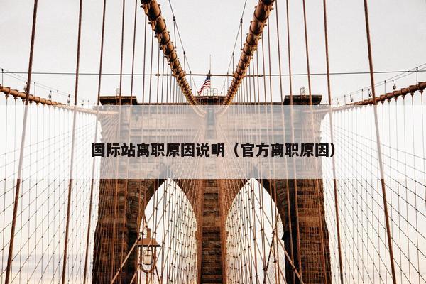 国际站离职原因说明(官方离职原因) 国际站离职原因说明(官方离职原因)