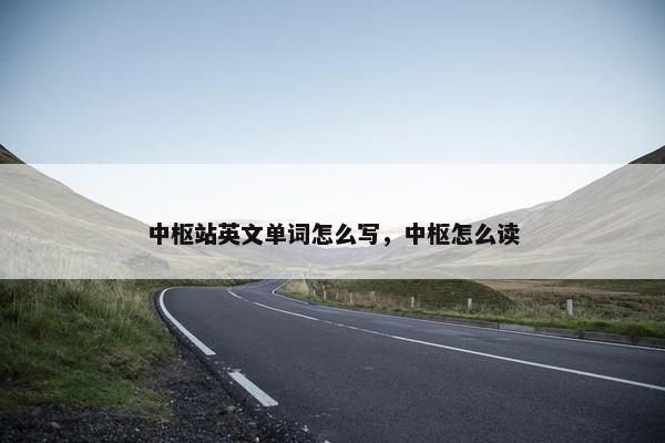 中枢站英文单词怎么写,中枢怎么读