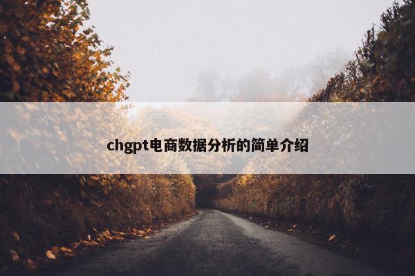 chgpt电商数据分析的简单介绍