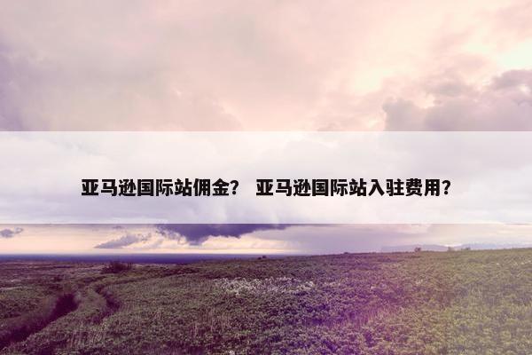 亚马逊国际站佣金？ 亚马逊国际站入驻费用？