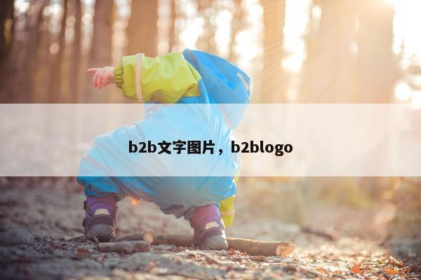 b2b文字图片，b2blogo
