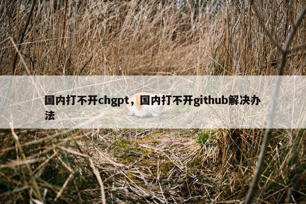 国内打不开chgpt，国内打不开github解决办法