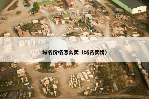 域名价格怎么卖（域名卖出）