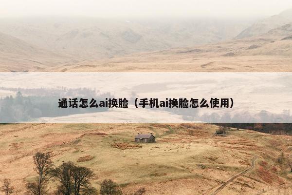 通话怎么ai换脸（手机ai换脸怎么使用）